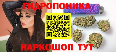 мяу мяу мука Новозыбков