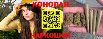 a pvp Новокубанск