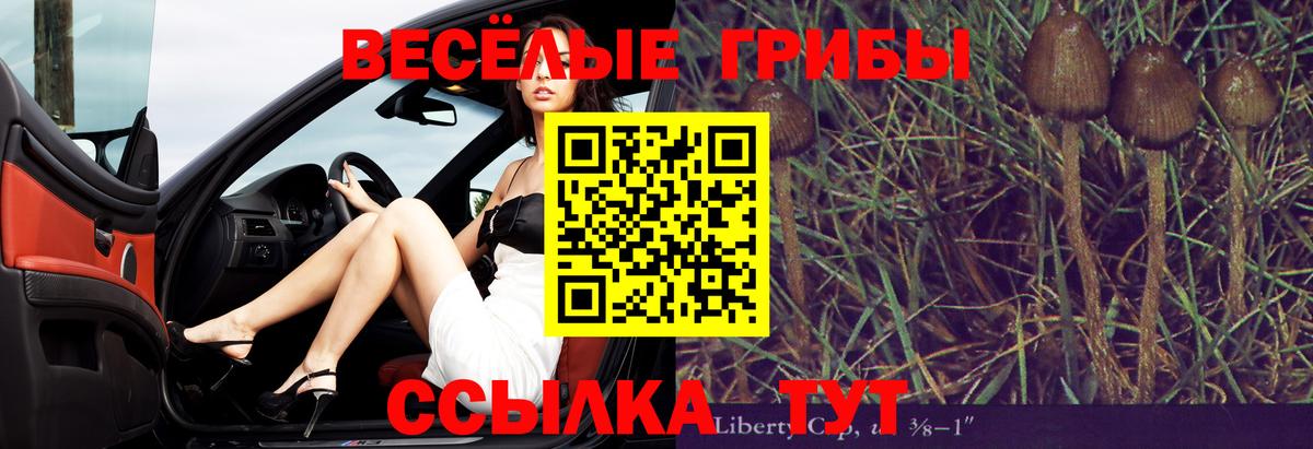 даркнет сайт  Псилоцибиновые грибы мицелий  Вход с VPN  Стрежевой 